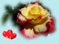 love wallpapers rose with red hearts