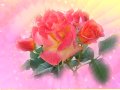 wallpaper love rose