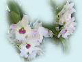 Beautiful White Orchids Wallpaper - 1024x768px